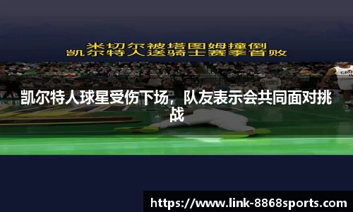 8868体育官方网站
